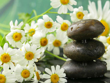 pyramid of black stones, chamomile flowers - spa conceptの写真素材