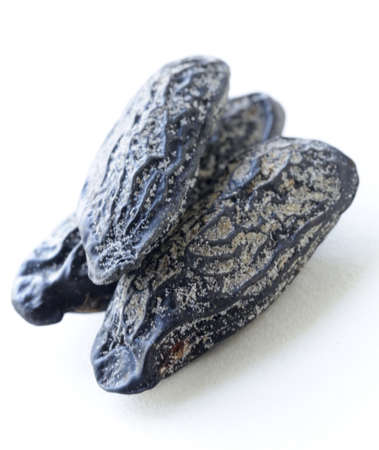 fragrant tonka bean, used for baking flavoredの写真素材