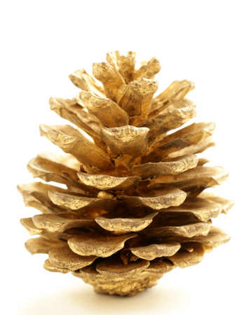 golden Christmas fir-cone  on a white backgroundの写真素材