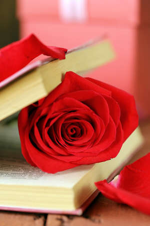 book and red rose on wooden backgroundの写真素材