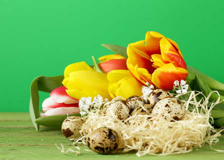 Easter still life with spring flowers tulips and quail eggs on a wooden background