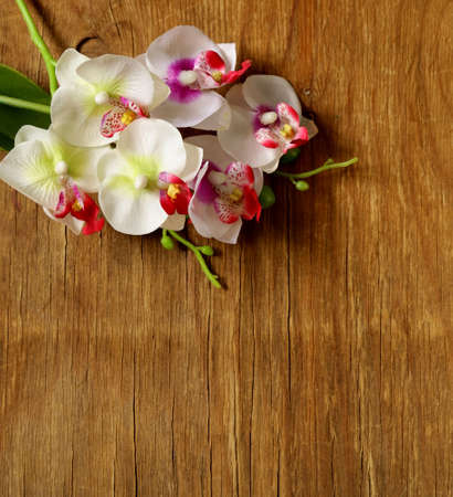 beautiful white orchid flowers on a wooden tableの写真素材