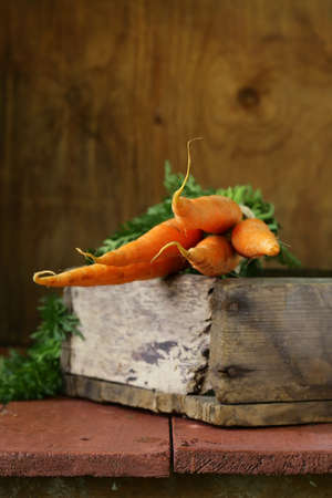 fresh organic carrots with green leaves on a wooden backgroundの写真素材