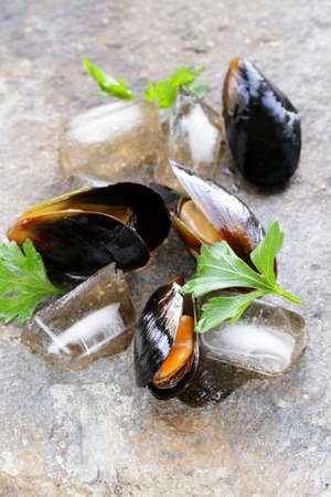 fresh delicious seafood mussels with green parsleyの写真素材