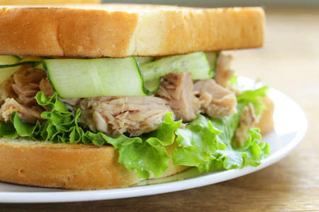 tuna sandwich with fresh cucumber and green saladの写真素材