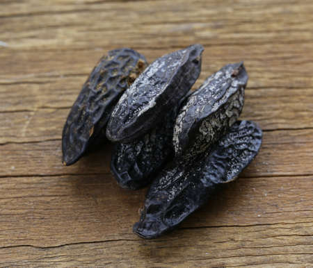 fragrant tonka bean, vanilla flavor used for baking の写真素材