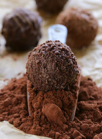 natural cocoa powder with chocolate candy truffle in a ceramic scoopの写真素材