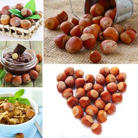 collage hazelnut, chocolate cream and muesli with nutsの写真素材