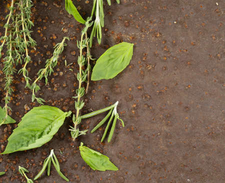 assorted aromatic herbs (basil, thyme, rosemary) on iron backgroundの写真素材