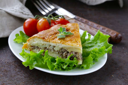 homemade meat pie with potatoes and oreganoの写真素材