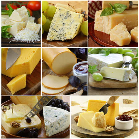 collage of various types of cheese (brie, parmesan, cheddar, blue)の写真素材