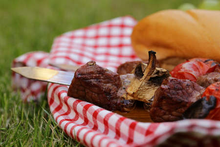Cooking on the barbecue grill beefsteak and skewersの写真素材