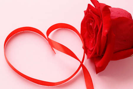 red rose flower with a ribbon in the form of heartの写真素材