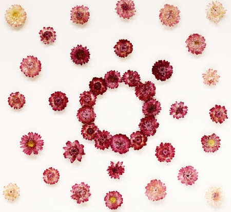 Colourful bright pattern made of red flowers
