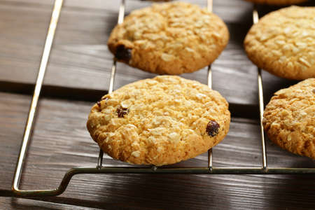 homemade round cookies with nuts and oatmeal