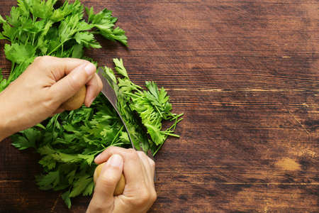 green natural organic parsley on a wooden tableの写真素材