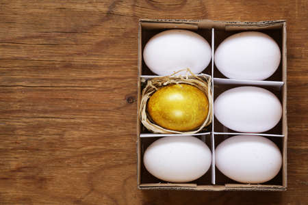 Concept organic food bio natural eggsの写真素材