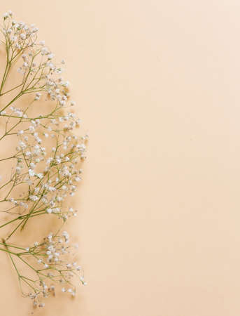 Spring flowers on a beige background, space for textの写真素材