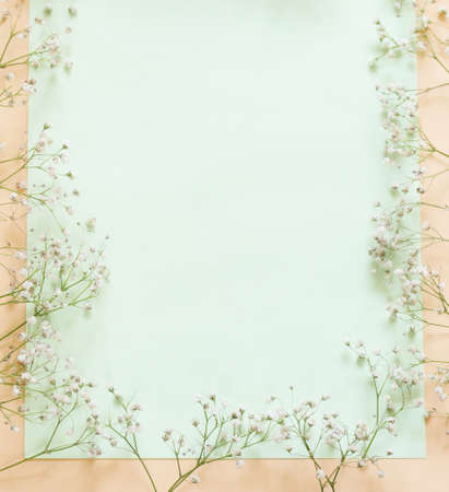Spring flowers on a beige background, space for textの写真素材