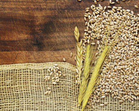 Wooden background with rough fabric  burlap and wheat ears and grainsの写真素材