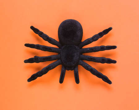 The composition decor for Halloween holidayの写真素材