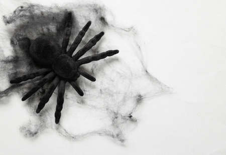 The composition decor for Halloween holiday