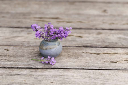 Fragrant flowers of lavender fresh purpleの写真素材