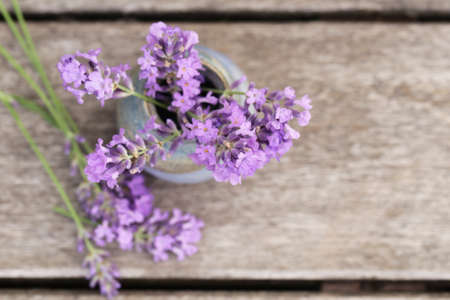 Fragrant flowers of lavender fresh purpleの写真素材