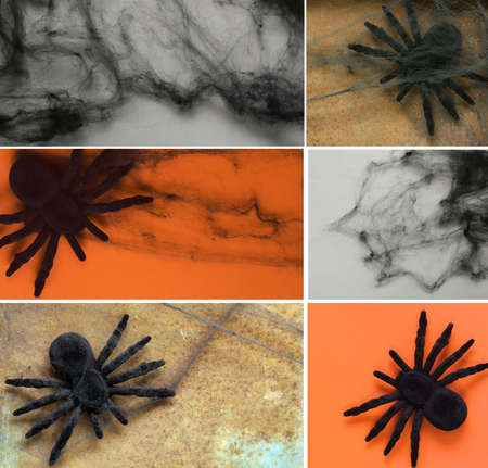 Collage Halloween - spider web and black spider on a gray and orange backgroundの写真素材