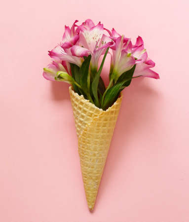 beautiful lilac wild orchids - alstroemeria flowersの写真素材