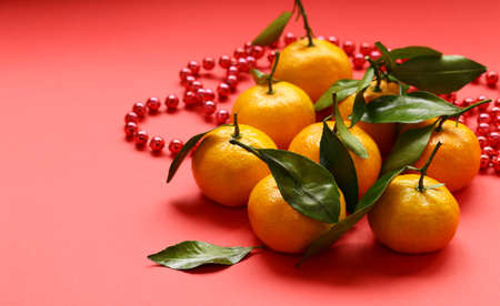 orange organic mandarins on a red background - oriental new year