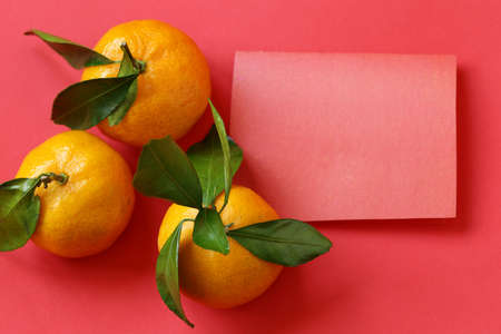 orange organic mandarins on a red background - oriental new yearの写真素材