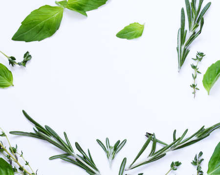 aromatic herbs - basil, thyme, rosemary on white backgroundの写真素材
