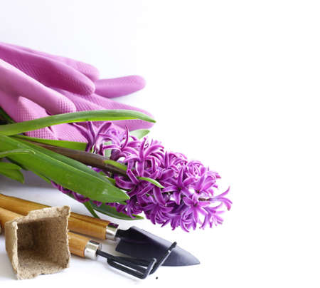 home gardening - flowers and herbs, tools and plantsの写真素材