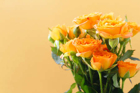 bouquet of fresh yellow roses for greeting cardの写真素材