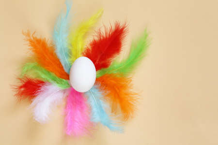 Easter composition egg and colored feathers