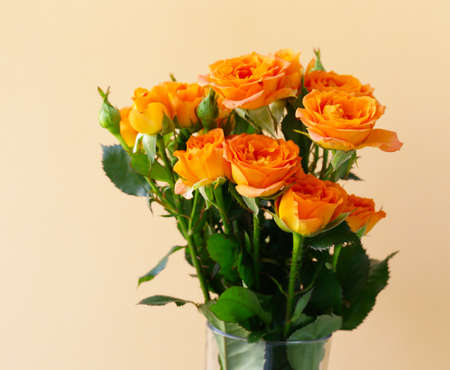 bouquet of fresh yellow roses for greeting cardの写真素材