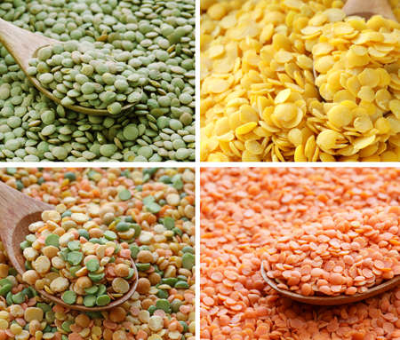 collage set various kinds of lentils, red, yellow and greenの写真素材