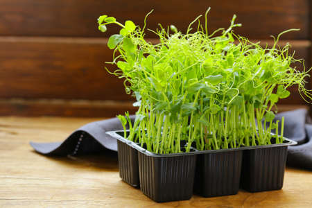 sprouts of peas for salad - healthy food