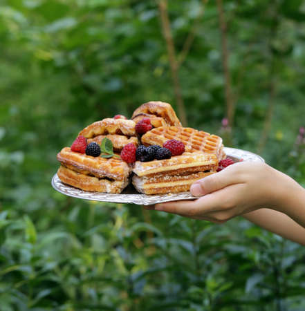 sweet waffles with berries for dessert, outdoor picnicの写真素材