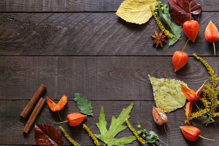 autumn background with yellow leaves