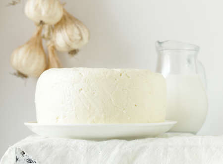 natural homemade milk soft cheese