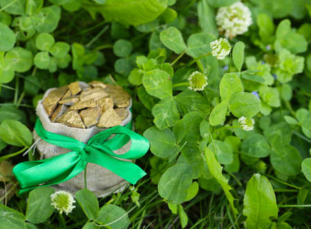symbol of St. Patrick's Day, shamrocks, goldの写真素材
