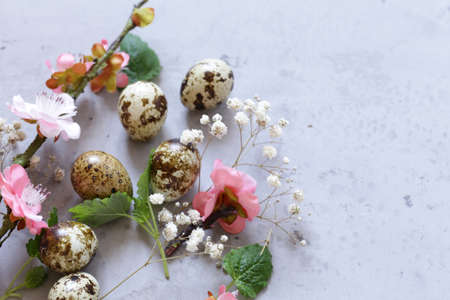 Easter composition with quail eggs decorationの写真素材