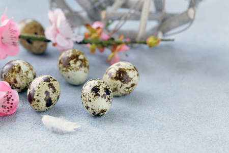 Easter composition with quail eggs decorationの写真素材