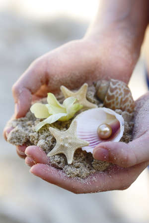 sand, shells and starfish in the hands, vacation concept