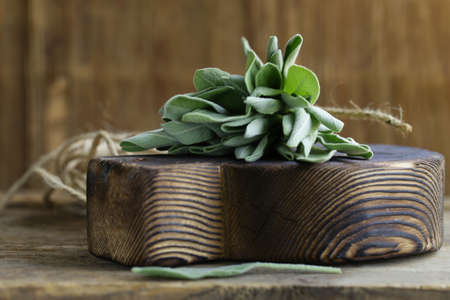 fresh organic green sage on a wooden tableの写真素材