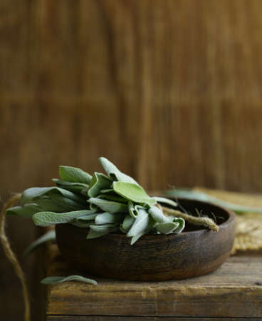 fresh organic green sage on a wooden tableの写真素材