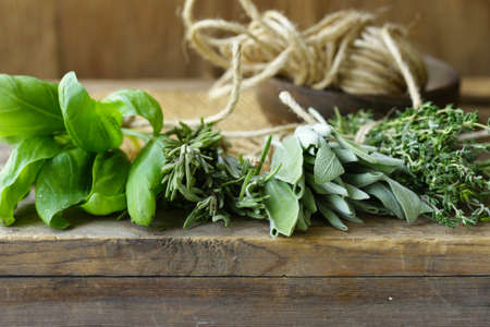 fresh organic green fragrant herbsの写真素材