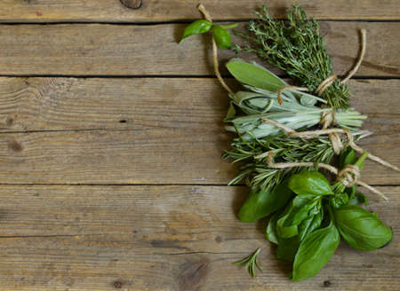 fresh organic green fragrant herbsの写真素材